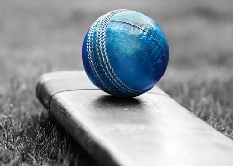 Exploring Different Betting Types in T20 Cricket